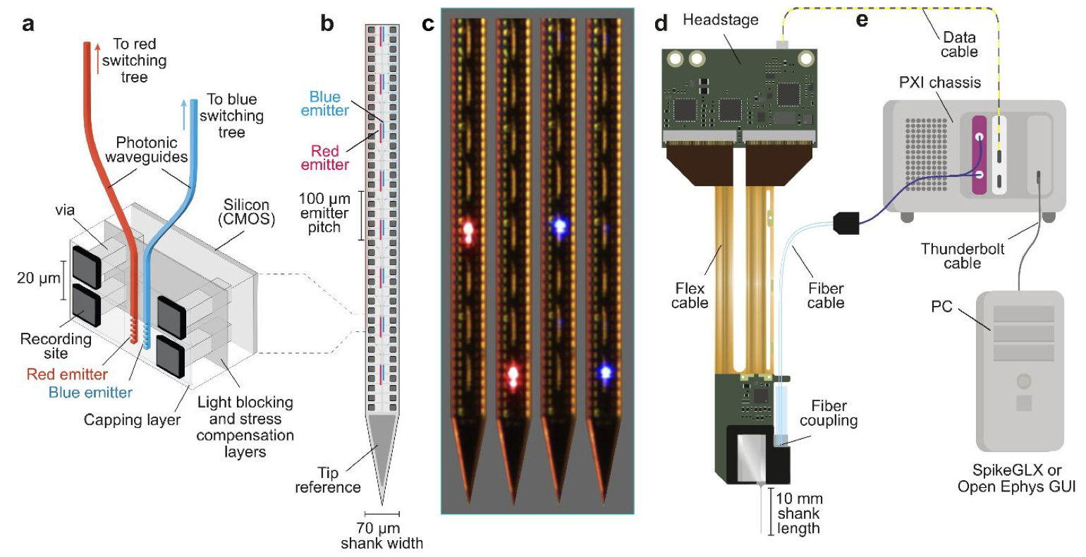 Neuropixels Opto: Combining high-resolution electrophysiology and optogenetics