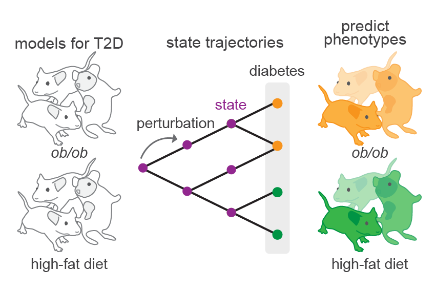 Forecasting changes during disease