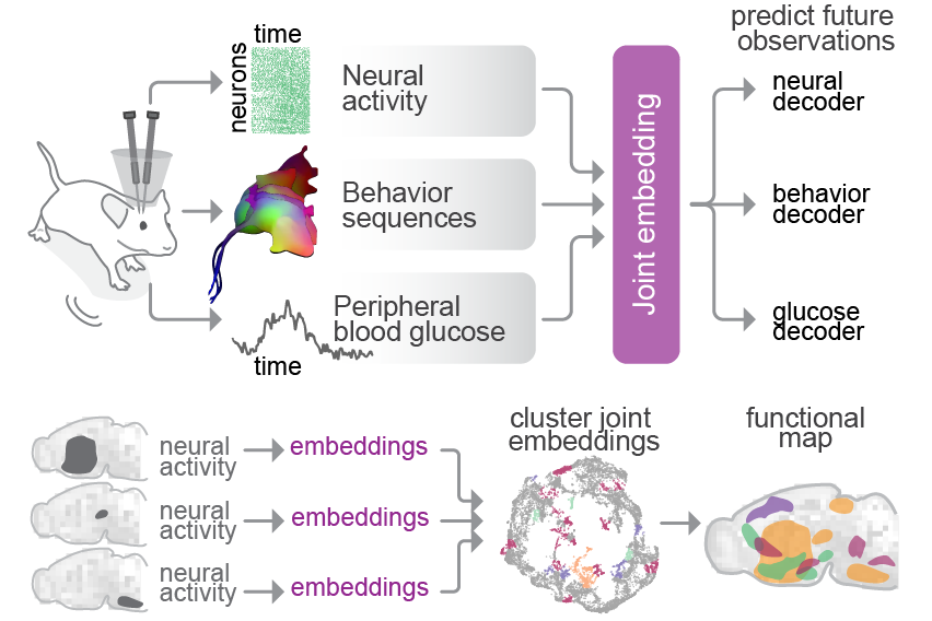 Multimodal modeling