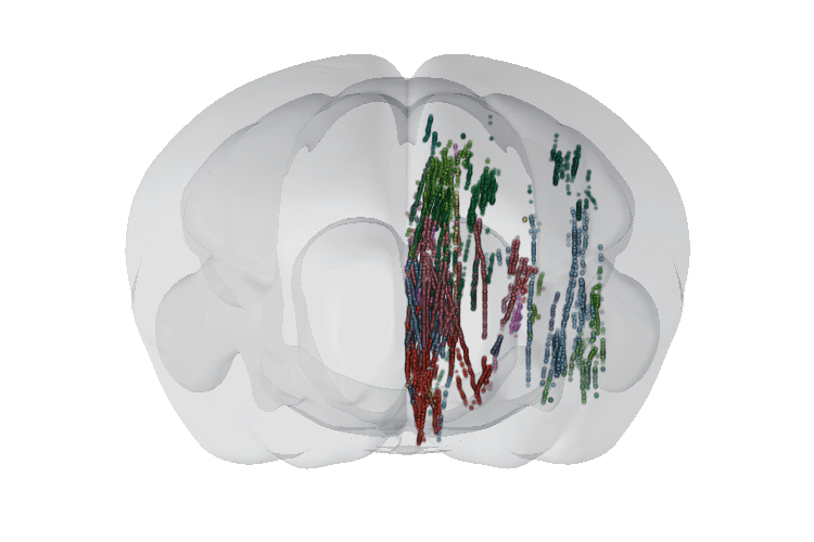 Glucose forecasting networks